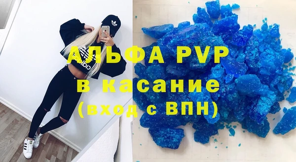 твердый Богданович