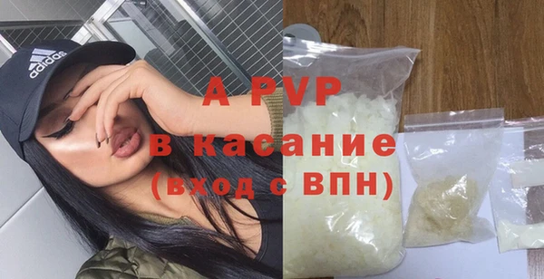 твердый Богданович