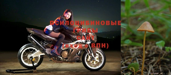 герыч Белокуриха